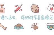 揭秘真正的“中华名犬”：獢獢，你敢读吗？