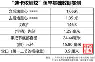 法国顶级运动品牌高价位鱼竿，能否满足国内钓鱼爱好者的需求？