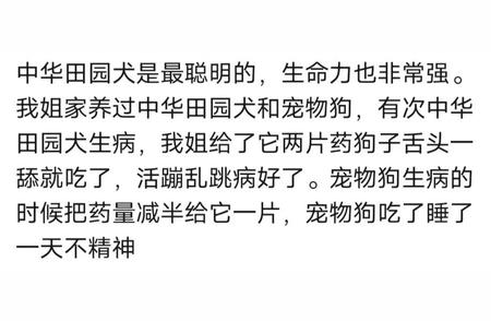 中华田园犬的聪明程度有多高？看看老祖宗的选择，网友家的狗狗都成了精灵。