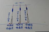 如何调整漂，避免过灵或过钝？新手必学