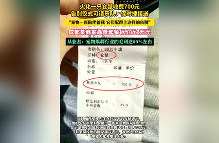 宠物火化服务：情感宣泄还是过度消费？