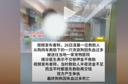 宠物医生收取押金引发关注，爱狗人士的信任挑战与捐款风波