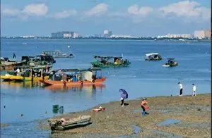 广西北海赶海惊魂：揭秘大自然的警告