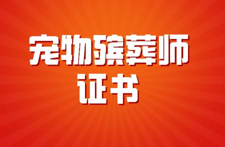 宠物殡葬师证书报考指南：条件、费用与考试难度全解析