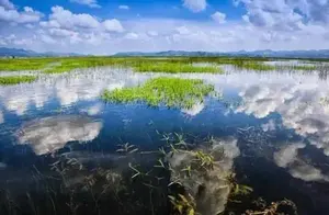 揭秘贵州最凉快的地方：不是六盘水，而是这座神秘小城！