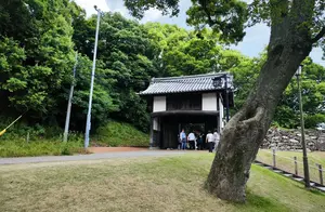 地中海号邮轮：日本福冈购物之旅的独特体验