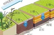 四川乐山发现巨型乌木，其价值如何？碳化木与木化石有何区别？