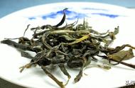 普洱茶饼茶与散茶有何不同？