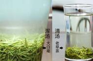 信阳毛尖：商城茶与信阳茶，究竟有何不同？