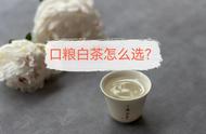 买口粮白茶，记住这4点，让你成为茶叶专家