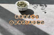 零基础到精通：白茶白牡丹的7大知识点