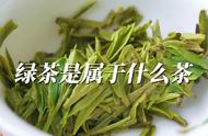 绿茶属于哪种茶类？