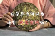 白茶散茶与饼茶：哪种更适合长期收藏？