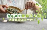 白毫银针味道淡，一斤千元的价格背后的秘密