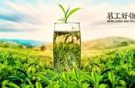 绿茶：清新绿衣的舞者，六大茶类之冠