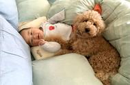 日本可爱宝宝与贵宾犬的感人兄弟情