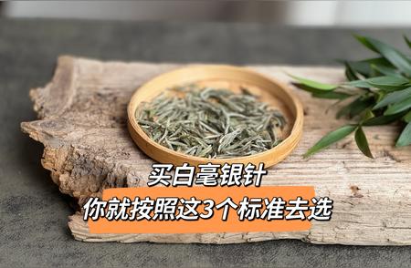 新手必学：挑选白毫银针的三大标准