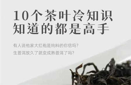 揭秘茶叶世界：鲜为人知的冷知识大揭秘