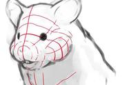 「手绘教程」如何用板绘技巧画出萌萌的小仓鼠