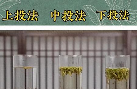 绿茶冲泡指南：轻松掌握正确泡茶技巧