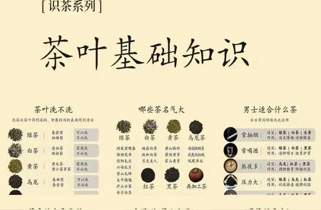 探秘茶叶世界：从基础到精通的全面指南