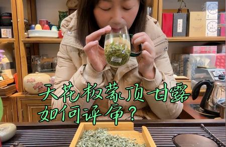 品味家乡春茶：甘露与文化的交融