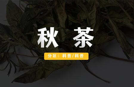 秋茶独特的「连环鄙视链」，你真的了解吗？