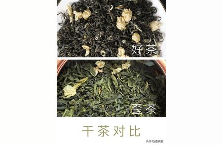 茉莉花茶：价格与品质的区别