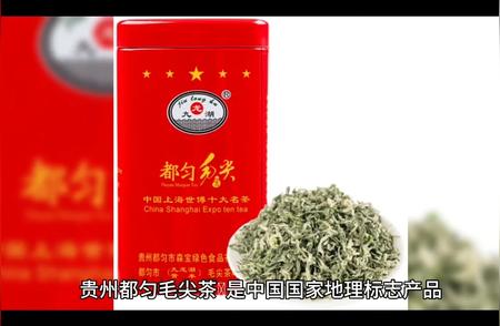 贵州都匀毛尖茶：品味独特的山茶文化