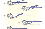 路亚钓鱼必备技巧：掌握高效鱼线结