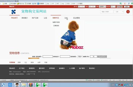 宠物狗交易网站：毕业设计中的技术挑战与解决方案