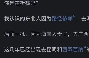 揭秘东北人迁徙偏好：为何选择海南而非云南？