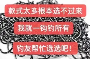 九款顶级鱼钩大比拼：哪款是你的钓鱼利器？