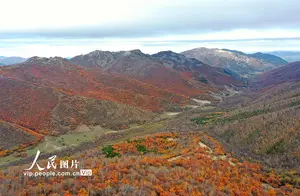 黄岗梁：赤峰美景如画，一网打尽！