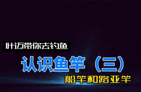 认识不同类型的鱼竿：从路亚竿到船竿的全面解析