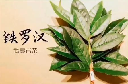 探索传奇：正宗大红袍茶叶的珍稀之旅