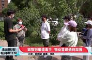 近期北京小区多只宠物狗离奇死亡，医生揭秘：竟是人为投毒！