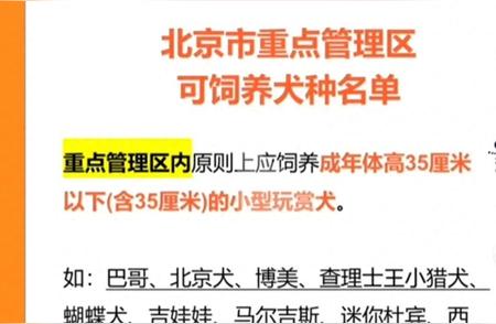 2023年北京禁养犬种揭秘：金毛、拉布拉多上榜！