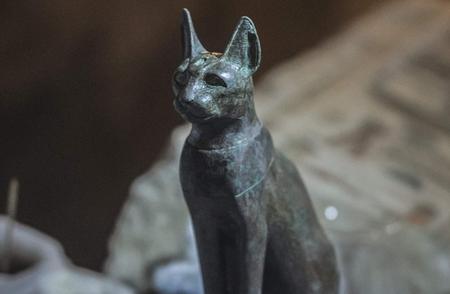 金字塔中的神秘猫：千年守护者的传说