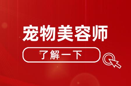 报考宠物美容师证：一网打尽所有要点！