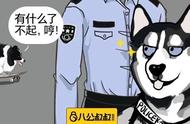 边牧与警犬：为何边牧也有资格成为警队的一员？