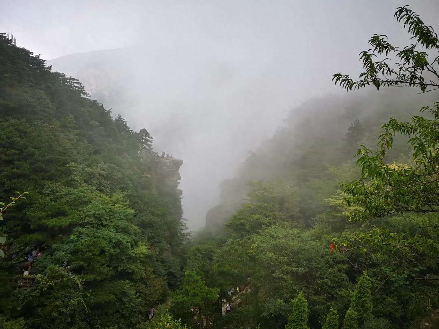 九江庐山的云雾是十分漂亮，千姿百态，云雾说来就来，说走就走