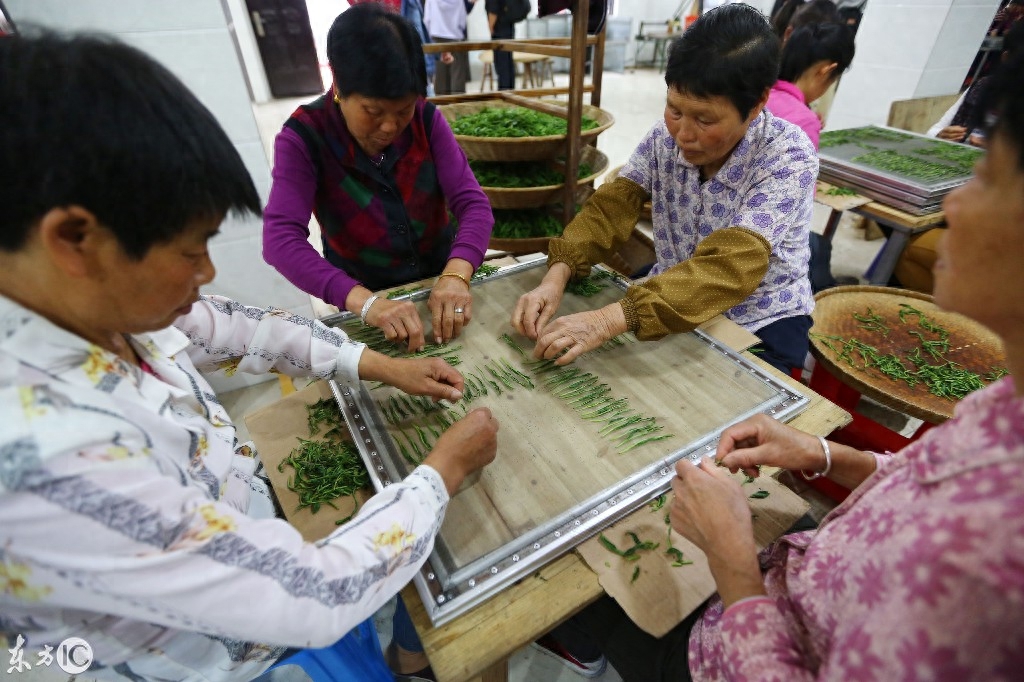 中国历史名茶“太平猴魁”