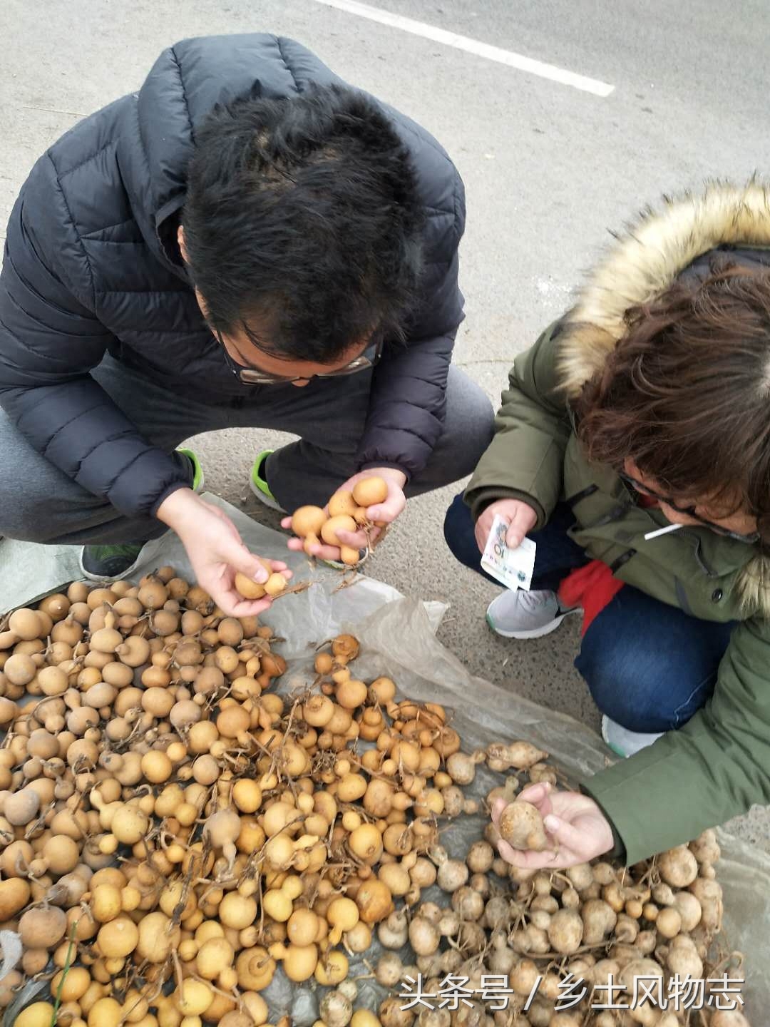 马路边地摊上，成堆的文玩葫芦颜值完全不同价格却相同，这是为啥